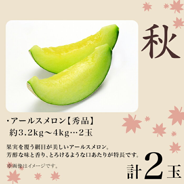 【ふるさと納税】371 メロン 定期便 春メロン 秋メロン 人気 食べ比べ フルーツ 先行予約 数量限定 2回 お届け メロン好き 集合 サムネイル2