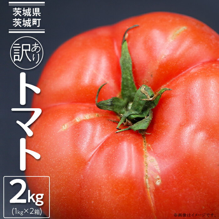 トマト 訳あり フードロス SDGs 茨城町 茨城 484【訳あり】茨城町産トマト 約2kg JA水戸