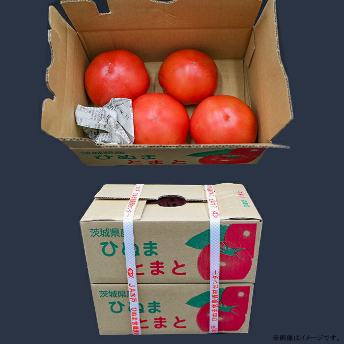 【ふるさと納税】トマト 訳あり フードロス SDGs 茨城町 茨城 484【訳あり】茨城町産トマト 約2kg JA水戸 - 画像3