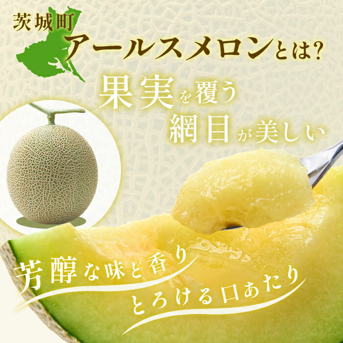 【ふるさと納税】フルーツ 先行予約 メロン めろん 茨城 秀品 177 アールスメロン 秀品 2玉 約3.2kg～4kg 茨城県 JA水戸産 めろん 果物 フルーツ - 画像3