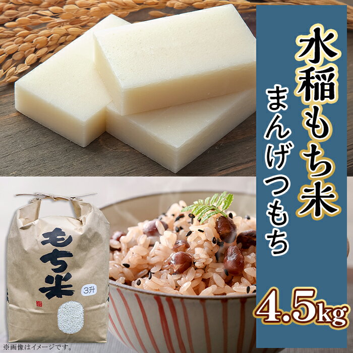もち米 まんげつもち 茨城 おすすめ 土づくり こだわり 直送 607 【令和7年産】水稲もち 3升 4.5kg