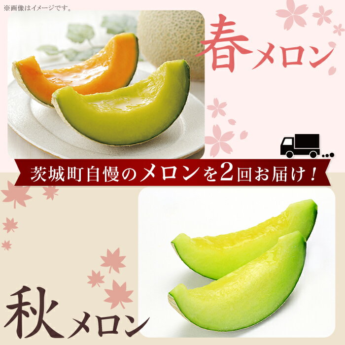 371 メロン 定期便 春メロン 秋メロン 人気 食べ比べ フルーツ 先行予約 数量限定 2回 お届け メロン好き 集合