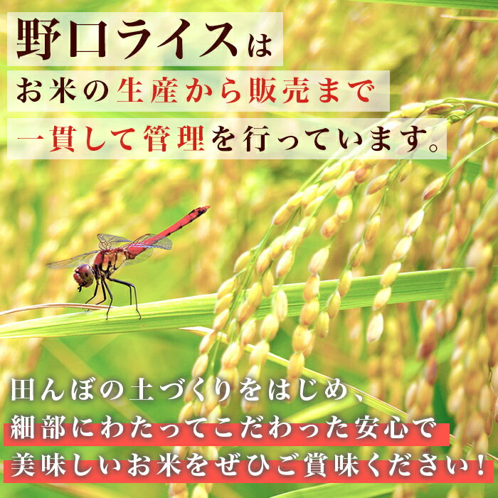 【ふるさと納税】170【令和7年産】茨城町産 ふくまる 5kg【野口ライス】 - 画像3