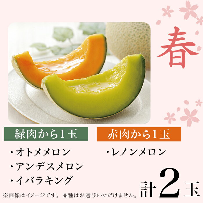 【ふるさと納税】371 メロン 定期便 春メロン 秋メロン 人気 食べ比べ フルーツ 先行予約 数量限定 2回 お届け メロン好き 集合 サムネイル3