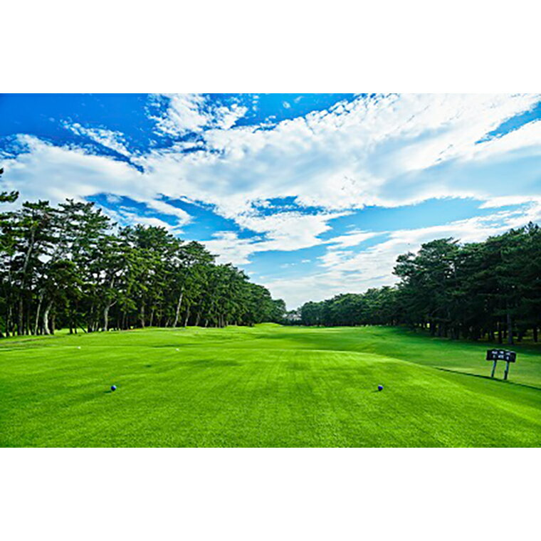 【ふるさと納税】 【倶楽部会員限定】 大洗ゴルフ倶楽部 全日プレー券 (メンバー用) ゴルフ場 利用券 サムネイル2