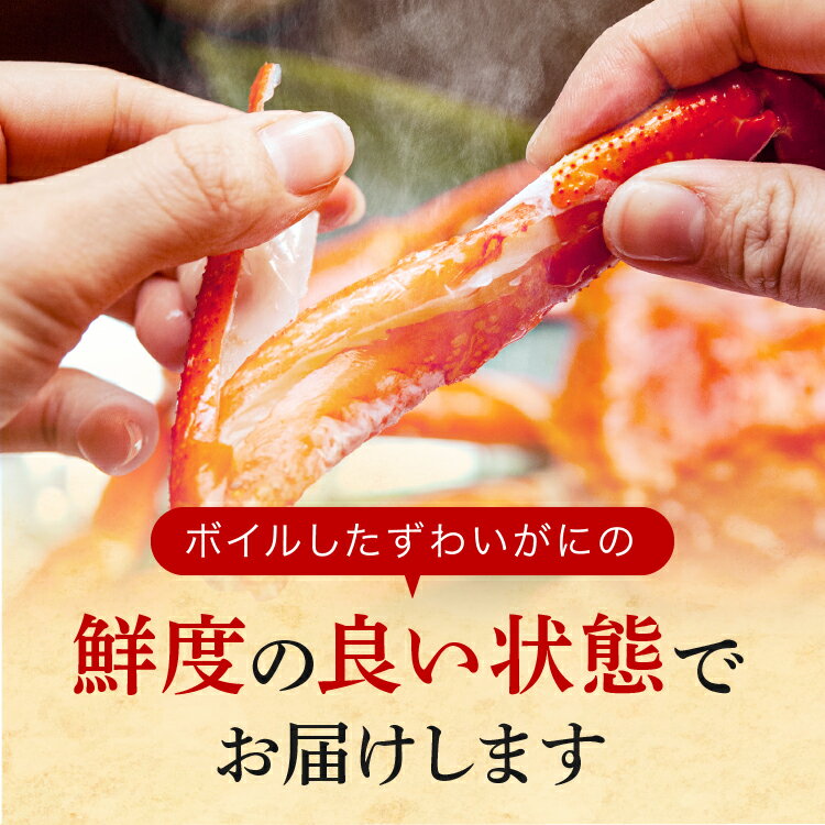 【ふるさと納税】訳あり ボイル ずわいがに 総重量 1kg (内容量 900g)規格外 不揃い 傷 足 訳アリ わけあり 脚折れ 2L～3L 大サイズ 弥七商店 かに弥 ずわい蟹 ズワイガニ かに カニ 蟹 カニ足 脚 ずわい 鍋 数量限定 - 画像3