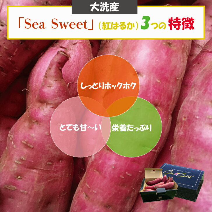 【ふるさと納税】 【先行予約】大洗産 さつまいも 紅はるか 5kg （15本前後） Sea Sweet 長期熟成 茨城県産 サツマイモ 土付き 生芋 芋 さつま芋 薩摩芋 甘藷 べにはるか - 画像3