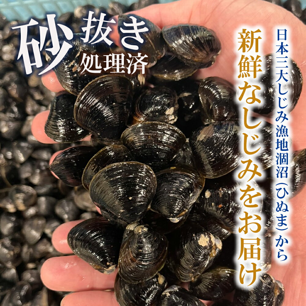 【ふるさと納税】訳あり 涸沼産 中粒 冷凍 シジミ 2.4kg （400g×6袋） しじみ 蜆 大和しじみ ヤマトシジミ 大玉 砂抜き済 冷凍 味噌汁 スープ 魚貝類 貝 オルニチン コハク酸 小分け わけあり 訳アリ サムネイル2