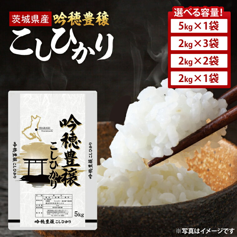 【選べる内容量】 ＜令和7年産＞ 吟穂豊穣こしひかり 2kg～6kg 精米 コシヒカリ こしひかり 米 ごはん コメ お米 白米 国産 茨城県産