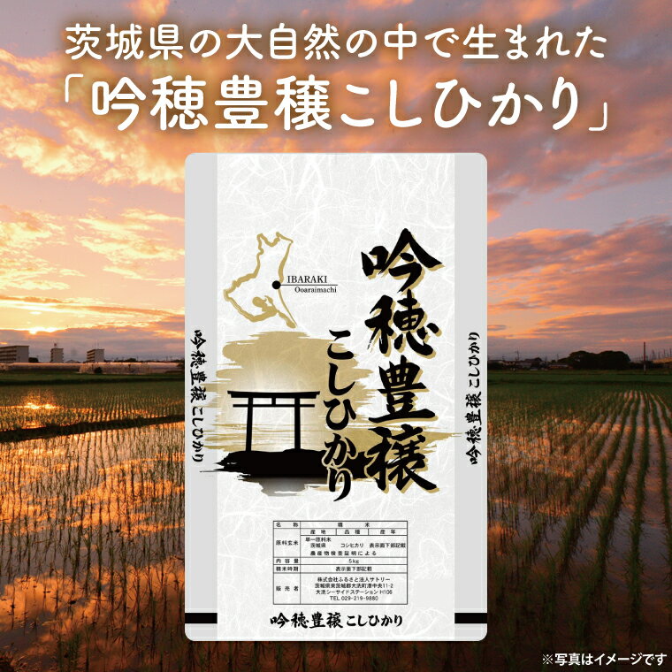 【ふるさと納税】【選べる内容量】 ＜令和7年産＞ 吟穂豊穣こしひかり 2kg～6kg 精米 コシヒカリ こしひかり 米 ごはん コメ お米 白米 国産 茨城県産 - 画像2