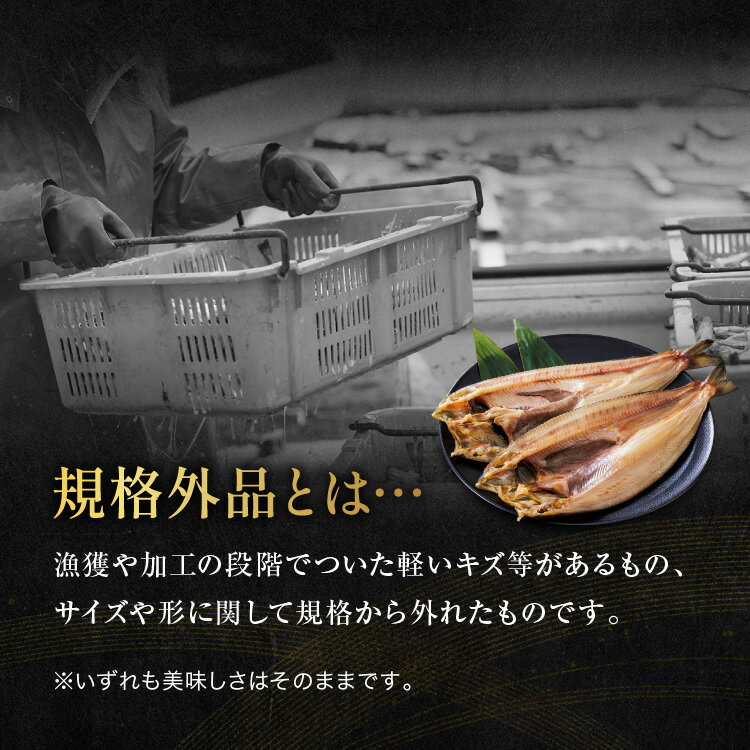 【ふるさと納税】《肉厚ジューシー！》 訳あり ほっけ 干物 2kg （500g×4袋）小分け 真空パック 工場直送 規格外 不揃い 傷 訳アリ わけあり 業務用 冷凍 海鮮 魚介類 魚 開き 焼き魚 おかず さかな サムネイル3