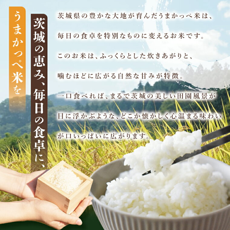【ふるさと納税】【選べる内容量】令和7年産 奥久慈の恵みうまかっぺ米（コシヒカリ）4kg or 5kg or 7kg｜茨城県 大子町 お米 白米 精米 ブランド米 銘柄米 食味値 ふっくら もちもち （AH001-2） - 画像2
