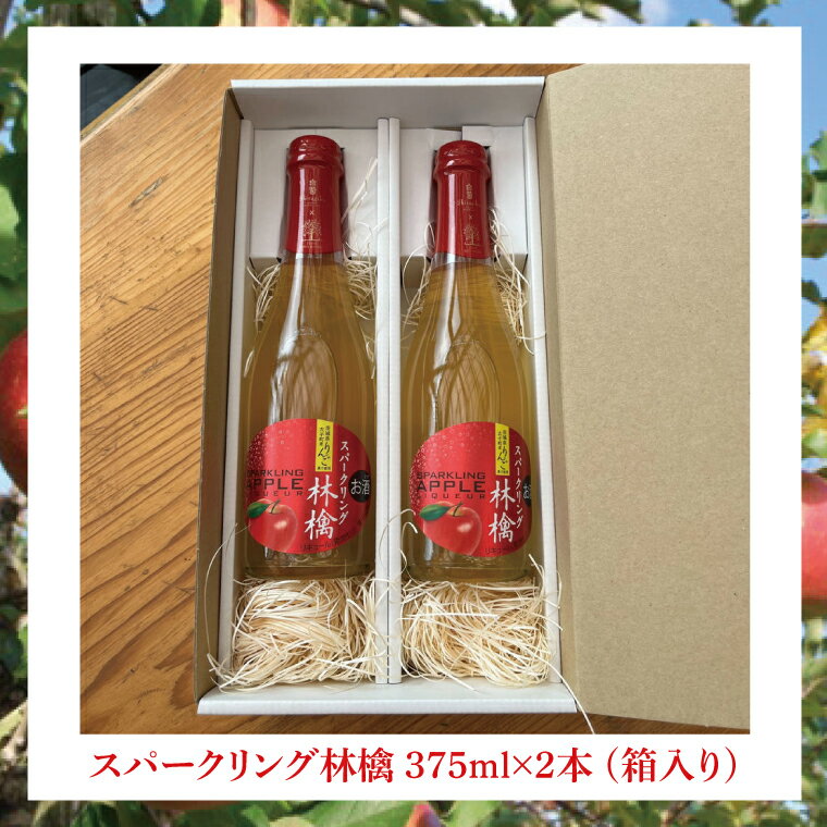 【ふるさと納税】【藤田観光りんご園】スパークリング 林檎 375ml (箱入り)× 2本 セット 果汁50％ ふじりんご100％使用(BJ002) サムネイル2