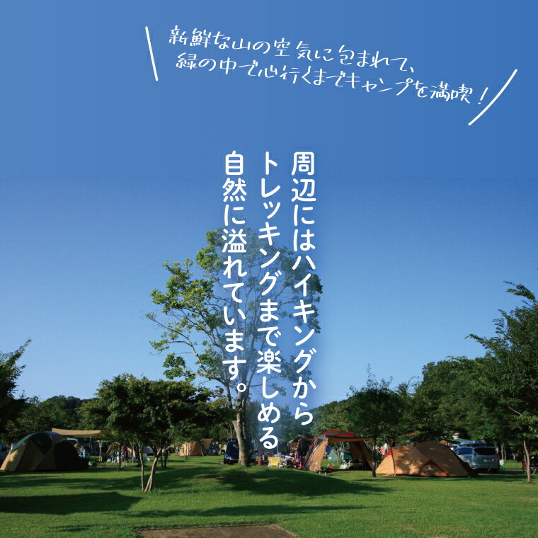 【ふるさと納税】大子広域公園オートキャンプ場『グリンヴィラ』 フリーサイト 施設利用券(BQ003) - 画像3