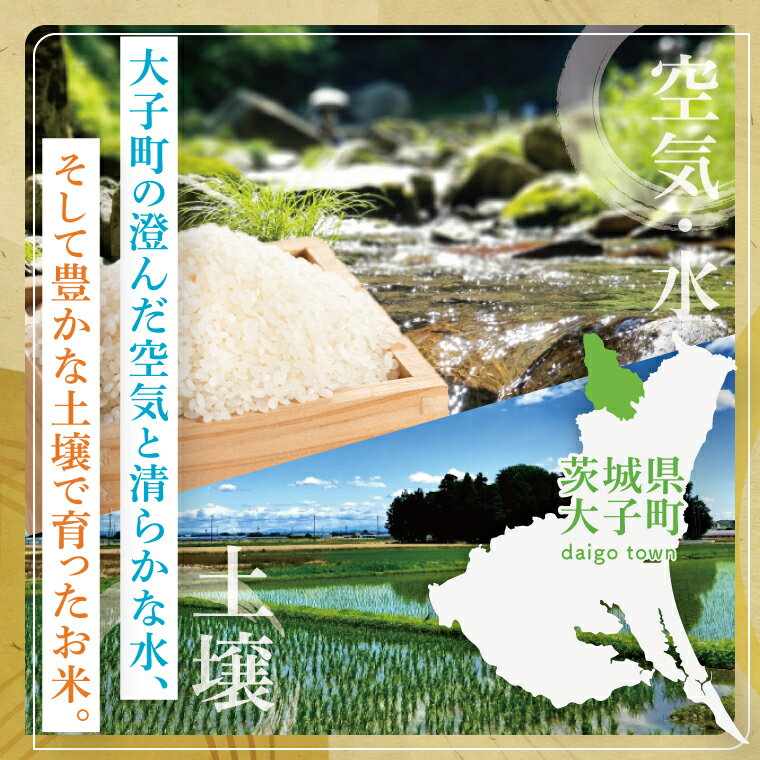 【ふるさと納税】【谷田部農産】【特別栽培米】立神米ゆうだい21（白米）5kg｜茨城県 大子町 米 コンテスト 受賞 生産者 大子産米 産地直送 令和7年産（BT074） - 画像2