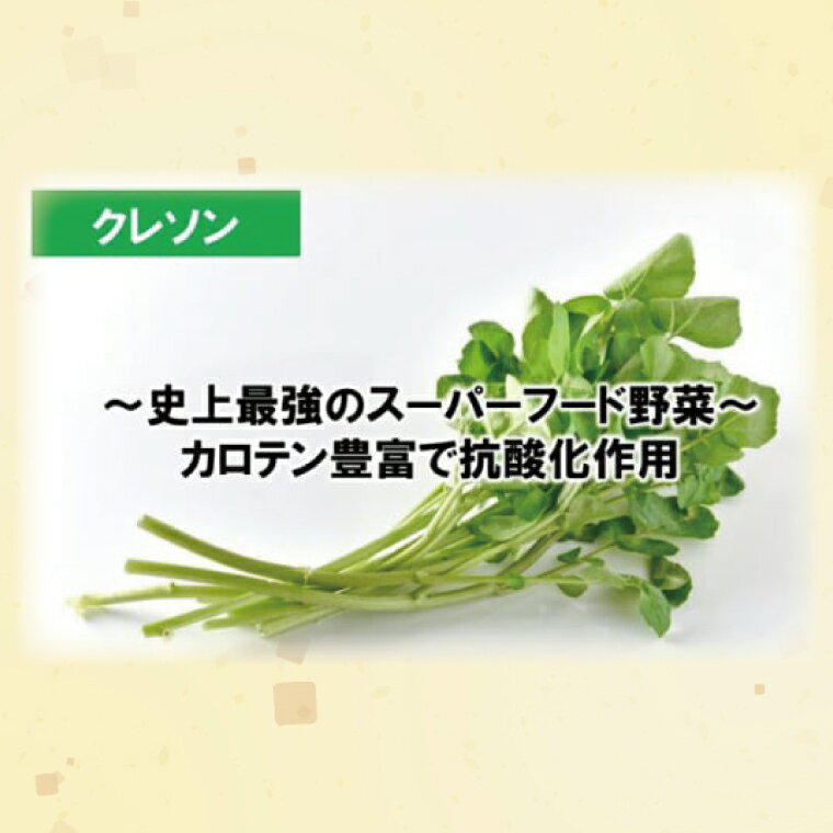【ふるさと納税】天然奥久慈 「クレソン粉末ドレッシング」 & 「紅菊芋&くるみ入り粉末ドレッシング」 3本 セット(BU001) サムネイル2