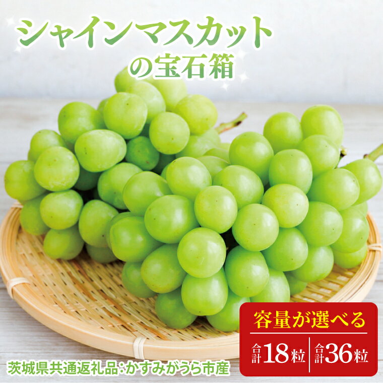 【先行予約】【お歳暮】シャインマスカットの宝石箱（茨城県共通返礼品：かすみがうら市）|プレゼント 贈答 贈り物 ぶどう 葡萄 ブドウ マスカット 茨城県 大子町（CD189）