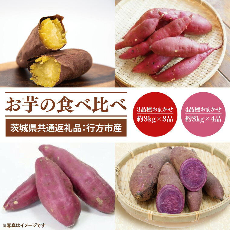 【先行予約】【選べる】お芋の食べ比べ （品種はおまかせ）さつまいも 3品種×約3kg 計9kg　または　4品種×約3kg 計12kg（茨城県共通返礼品：行方市産）※2025年10月上旬～2026年3月下旬頃に順次発送予定（CD088）