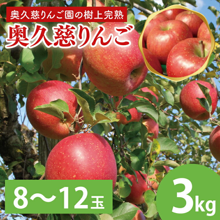 【数量限定・先行予約】【2025年9月中旬頃発送開始予定】奥久慈りんご園の樹上完熟 奥久慈りんご 3kg（8～12玉）(AI003-1)