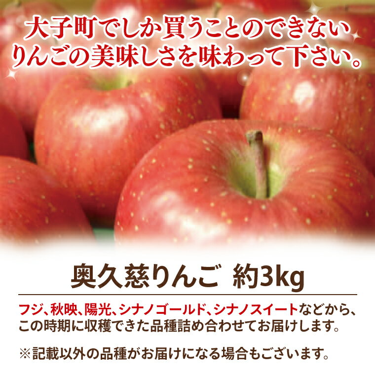 【ふるさと納税】【数量限定・先行予約】【2025年9月中旬頃発送開始予定】奥久慈りんご園の樹上完熟 奥久慈りんご 3kg（8～12玉）(AI003-1) サムネイル2