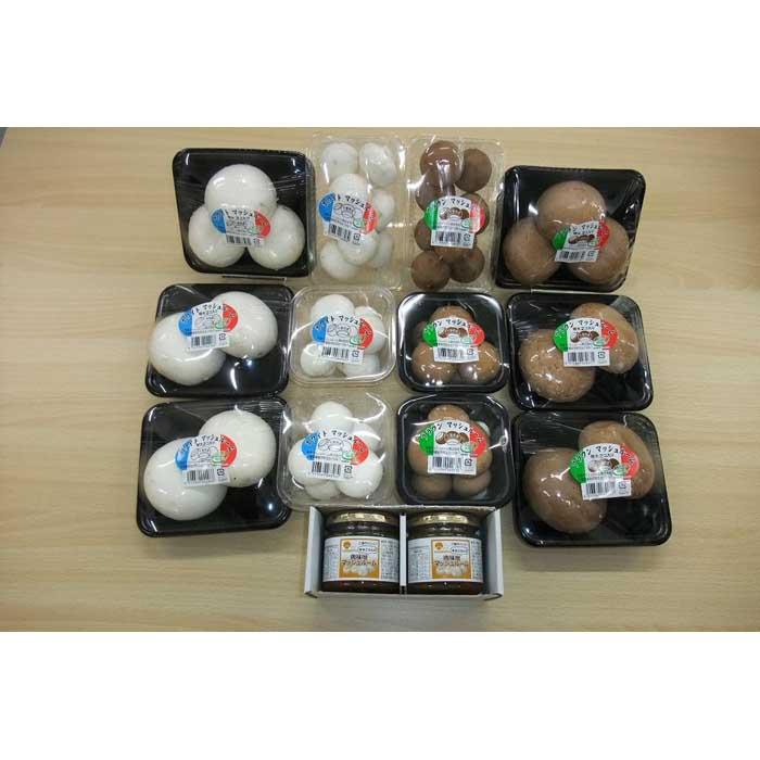 よし！もっとマッシュルーム食べよう！セット　2026年4月中旬～下旬以降から順次発送