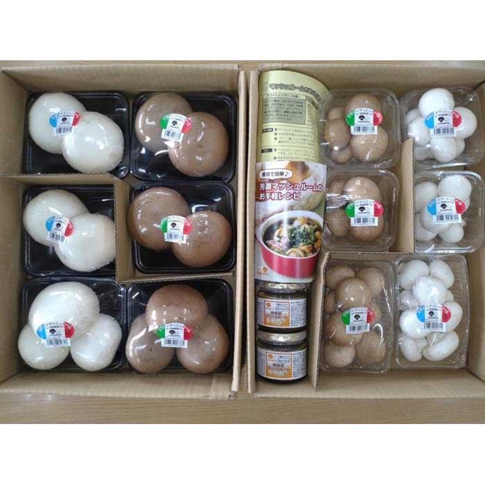 【ふるさと納税】よし！もっとマッシュルーム食べよう！セット　2026年4月中旬～下旬以降から順次発送 - 画像2