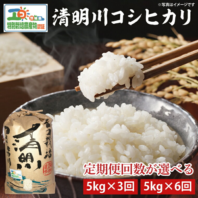 【選べる定期便3ヶ月or6ヶ月】茨城県特別栽培認証 清明川コシヒカリ白米5kg【米 おこめ こしひかり 特別栽培米 農家直送 直送 茨城県 阿見町】