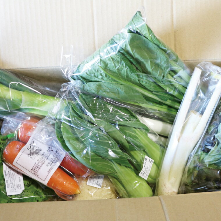 【ふるさと納税】04-05 【選べる回数】阿見町産野菜ボックス詰め合わせセット（7～8品）1ヶ月・3ヶ月・6ヶ月【新鮮 美味しい EM菌 減農薬 有機肥料 阿見町 茨城県】 - 画像2