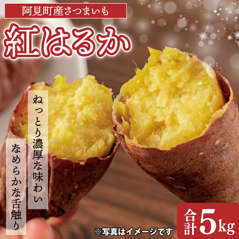 【先行予約 11月頃から順次発送】茨城県阿見町産 さつまいも 紅はるか 5kg×1【サツマイモ 生芋 べにはるか 茨城県 阿見町】(04-10)