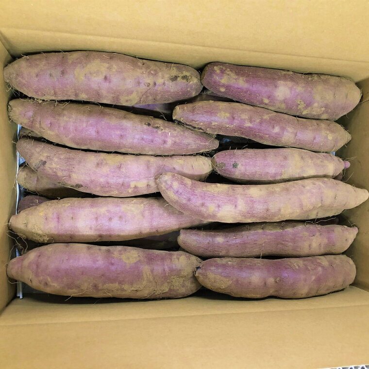 【ふるさと納税】【先行予約 11月頃から順次発送】茨城県阿見町産 さつまいも 紅はるか 5kg×1【サツマイモ 生芋 べにはるか 茨城県 阿見町】(04-10) - 画像2