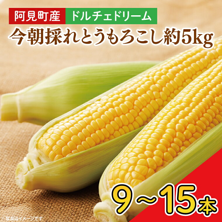【先行予約】阿見町産 今朝採れとうもろこし約5kg（ドルチェドリーム・9本～15本）【茨城県 阿見町 国産 甘い 朝採り 野菜 コーン バイカラー 送料無料】（04-22）