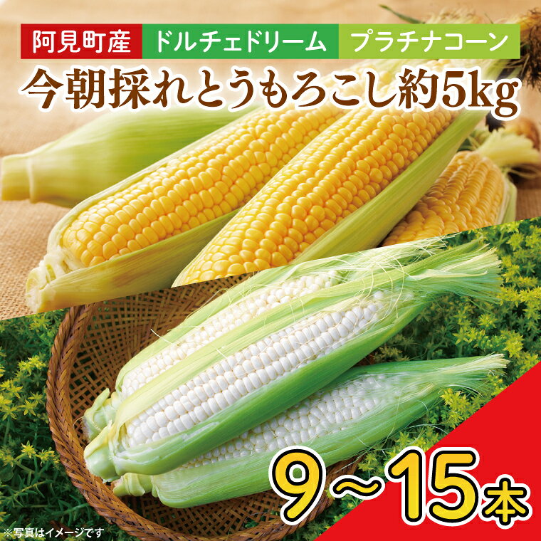 【先行予約】阿見町産 今朝採れとうもろこし約5kg（バイカラー ホワイト詰合せ・9本～15本）【茨城県 阿見町 国産 甘い 朝採り 野菜 ドルチェドリーム プラチナコーン 食べ比べ 送料無料】（04-24）