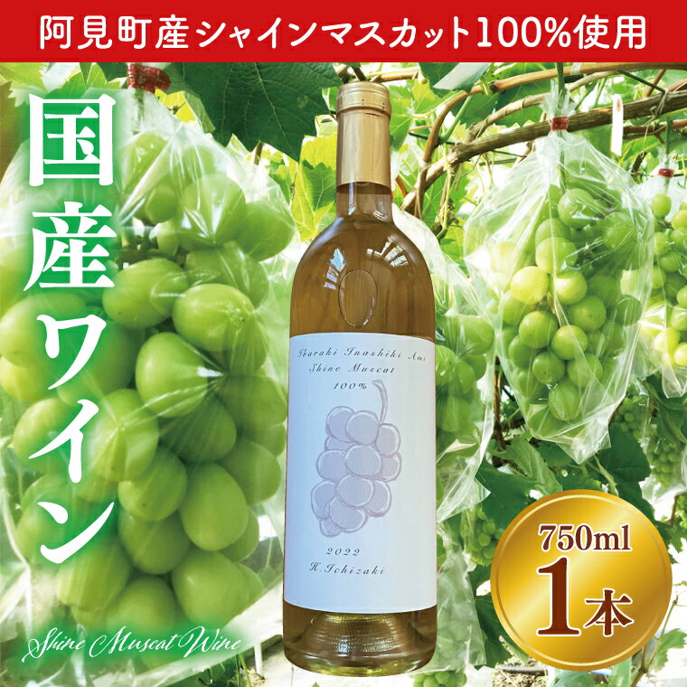 07-04 【数量限定】2022 シャインマスカット100％国産ワイン【白ワイン 贅沢 上質 ギフト 無農薬 葡萄 阿見町 茨城県】