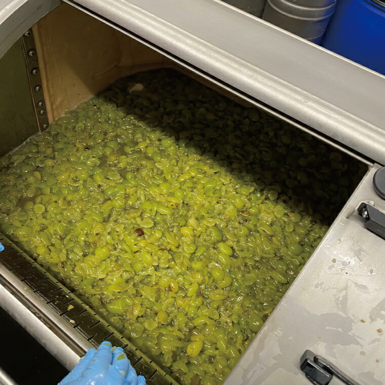 【ふるさと納税】07-04 【数量限定】2022 シャインマスカット100％国産ワイン【白ワイン 贅沢 上質 ギフト 無農薬 葡萄 阿見町 茨城県】 サムネイル3