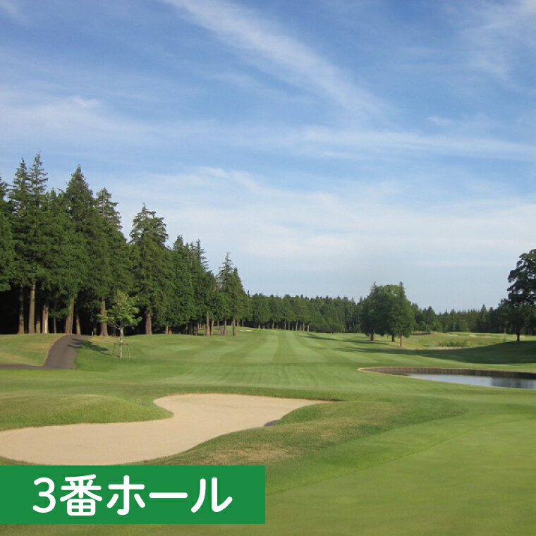 【ふるさと納税】30-02 阿見ゴルフクラブプレーご招待券（平日4名様）【ゴルフ プレー券 ゴルフ場利用券 阿見町 茨城県】 サムネイル2