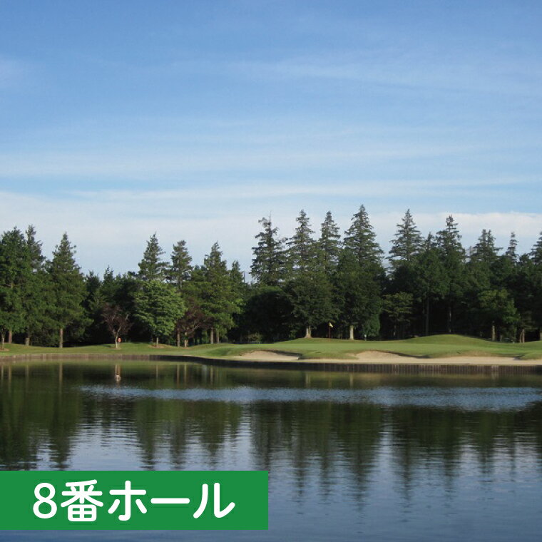 【ふるさと納税】30-02 阿見ゴルフクラブプレーご招待券（平日4名様）【ゴルフ プレー券 ゴルフ場利用券 阿見町 茨城県】 サムネイル3