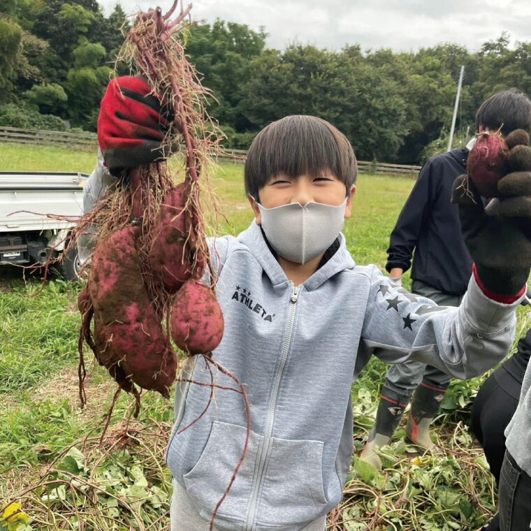 【ふるさと納税】【選べる内容量】【先行予約12月下旬から発送】生芋10kg～20kg S～Lサイズ混合｜サツマイモ さつま芋 さつまいも 芋 いも 野菜 紅はるか 茨城県 阿見町 阿見 (56-06) - 画像3