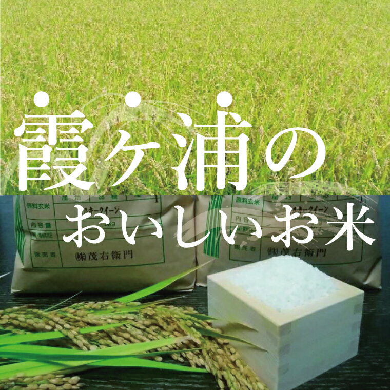 【ふるさと納税】「茨城県産 茨城県産米」「霞ヶ浦のおいしいお米」令和7年産ミルキークイーン10kg【米 ごはん 霞ヶ浦 茨城県 阿見町】（13-01-2） - 画像2