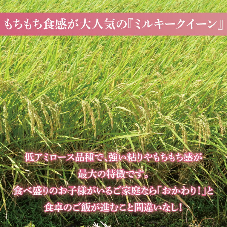 【ふるさと納税】【茨城県共通返礼品】令和7年産茨城県産 ミルキークイーン10kg（5kg×2袋）【お米 米 ごはん 茨城県】（03-64-1） - 画像2