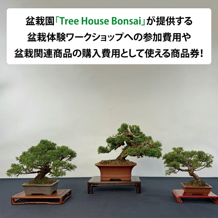 【ふるさと納税】商品券【盆栽体験ワークショップ参加及び樹木、鉢等の関連商品購入に利用】【盆栽 ワークショップ 阿見町 茨城県】（64-01） サムネイル2