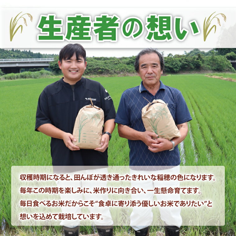 【ふるさと納税】【選べる定期回数】阿見町産コシヒカリ or 農家の美味しいお米 5kg ｜精米 定期便 お米 米 こめ コメ ごはん 白米 阿見町 茨城県 茨城県産 茨城県産米 安心 安全 送料無料 国産 人気 数量限定 高評価 - 画像3