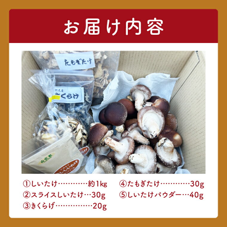 【ふるさと納税】【先行予約】【10月発送】生しいたけ1kgと乾燥キノコセット｜椎茸 きくらげ キクラゲ しいたけパウダー（99-01） - 画像2