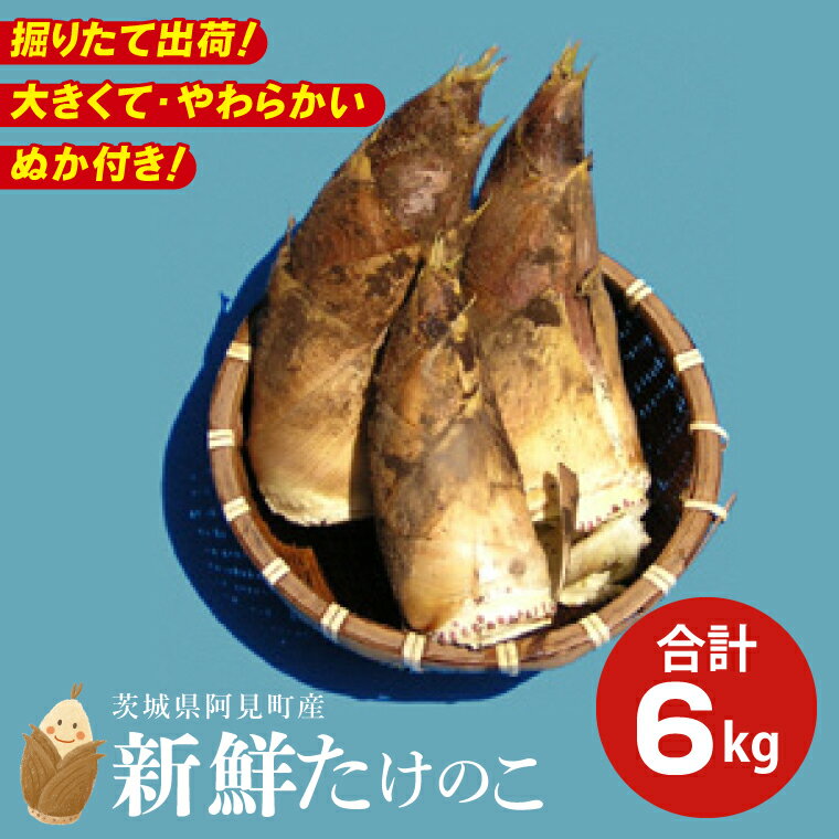 【先行予約】【2026年4月初旬より発送開始】茨城県阿見町産 たけのこ6kg｜朝採れ 旬 春限定 数量限定 国産 タケノコ 筍 孟宗竹 無農薬 常温発送 産地直送（23-01）