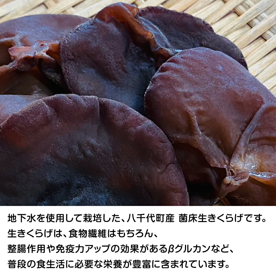 【ふるさと納税】【先行予約 2026年6月以降発送】八千代町産 生きくらげ 約 500g (約 150g ～ 170g × 3パック ） キクラゲ 木耳 きのこ キノコ ふるさと納税 7000円 茨城県 八千代町 - 画像3