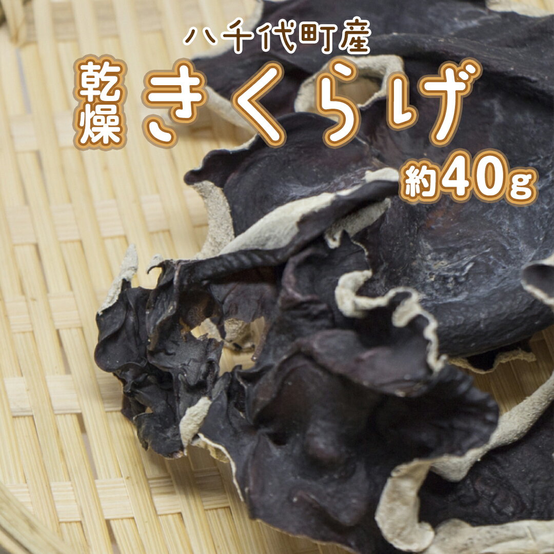 八千代町産 乾燥 きくらげ 約 40g キクラゲ 木耳 きのこ キノコ 乾燥 ふるさと納税 6000円 茨城県 八千代町
