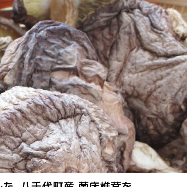 【ふるさと納税】 八千代町産 乾燥 しいたけ 約40g 椎茸 シイタケ きのこ キノコ 乾燥 ふるさと納税 6000円 茨城県 八千代町 - 画像3