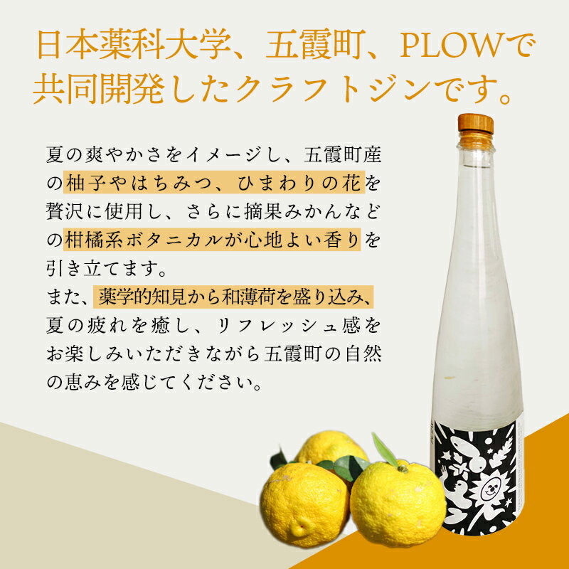 【ふるさと納税】【クラフトジン】HANABI Gin 500ml／ 数量限定 お酒 酒 アルコール ジン クラフトジン 和ハッカ 和薄荷 特産 柑橘 スパイス フレッシュ 茨城県 五霞町 サムネイル3