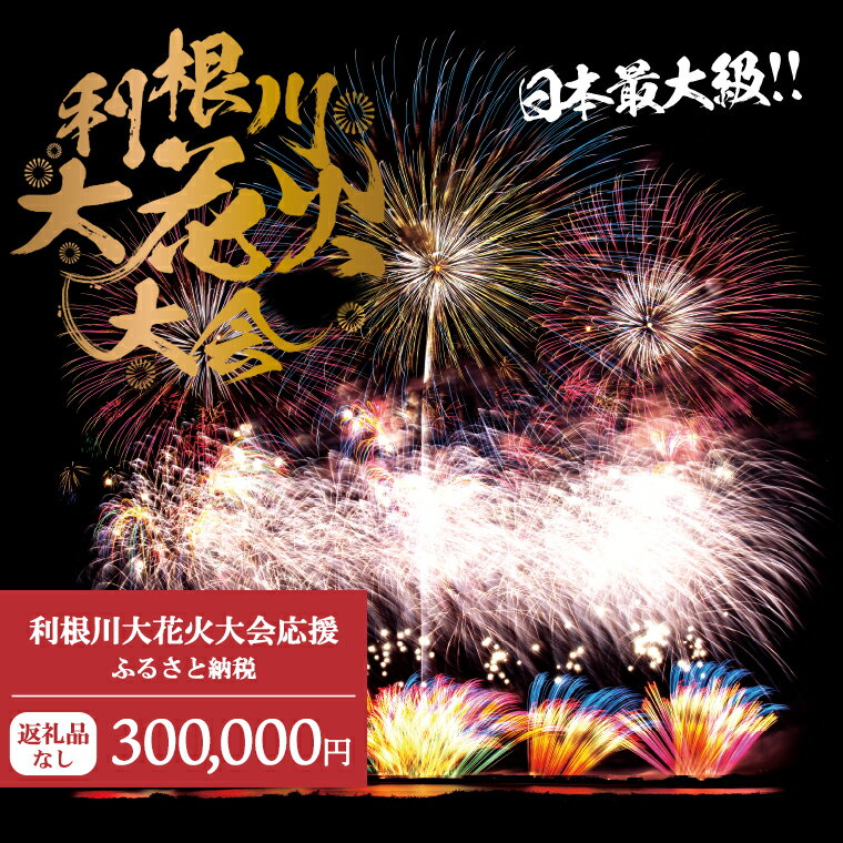 【返礼品なし】利根川大花火大会応援ふるさと納税 (300000円分) 【茨城県境町】