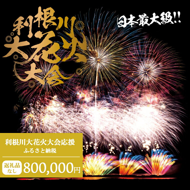 【返礼品なし】利根川大花火大会応援ふるさと納税 (800000円分) 【茨城県境町】