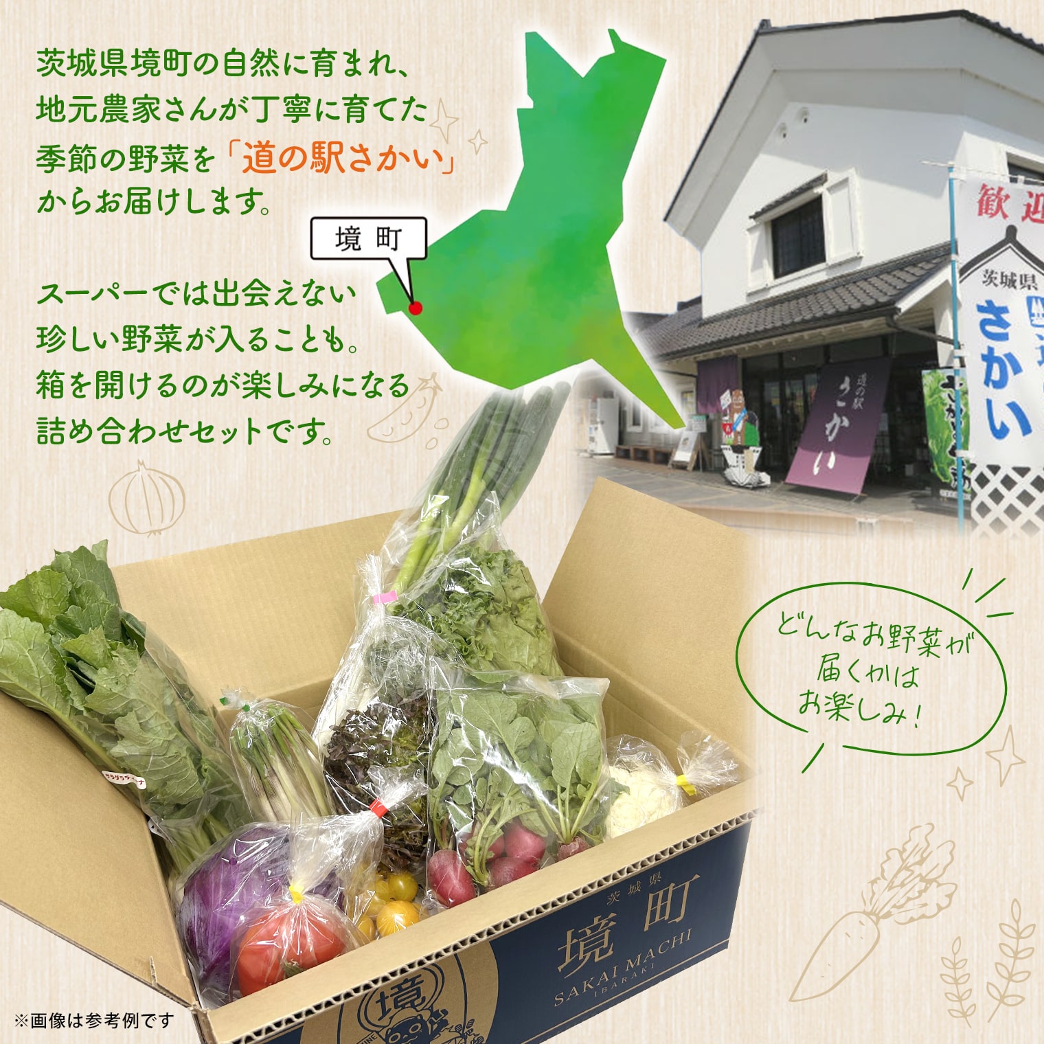 【ふるさと納税】野菜 セット 道の駅さかいオリジナル 駅長 おすすめ 季節の野菜セット 国産 茨城県産 境町産 - 画像2